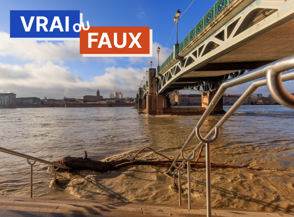 Photo d'illustration de la Garonne en crue au niveau du Pont Saint-Pierre de Toulouse, en janvier 2022